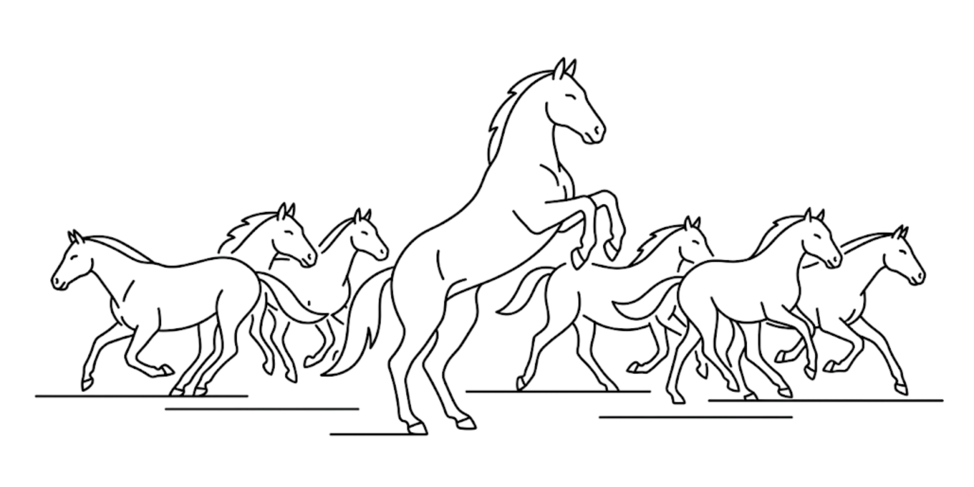 leren van wilde paarden